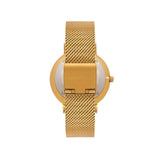 Gold Chain Kensington 34 Strap